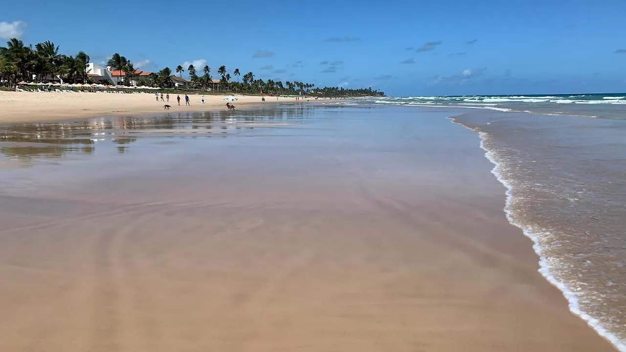Flat Extraordinario Beira Mar Em Porto De Galinhas Com Pe Na Areia Cupe Beach Living 巴西